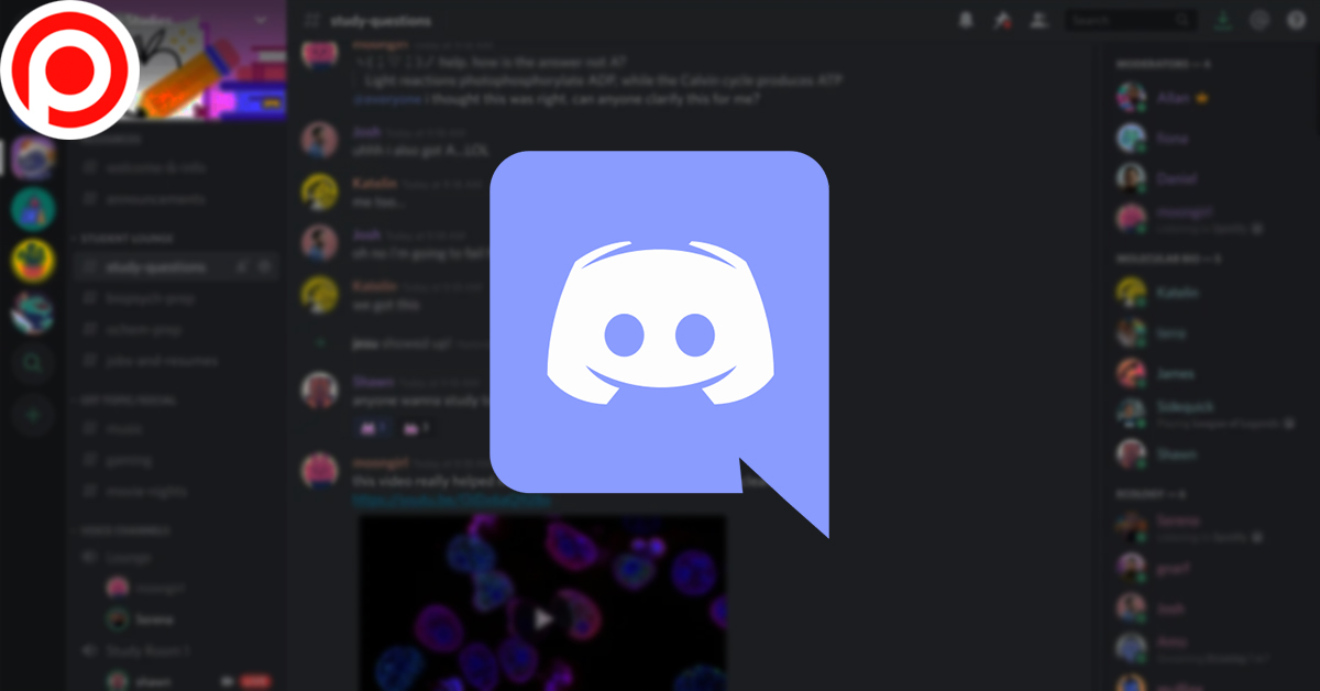 open discord in browser open discord in browser