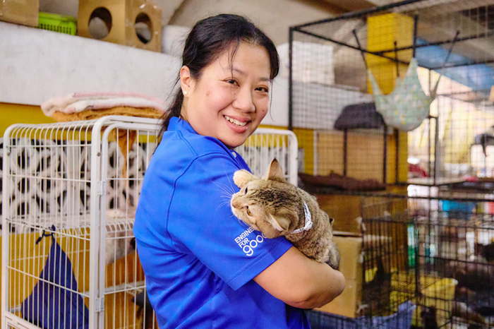 เอปสันปิดแคมเปญ “วิถีไทยไร้พลาสติก” ชวนลดพลาสติก ดูแลแมวจรกว่าร้อยชีวิต